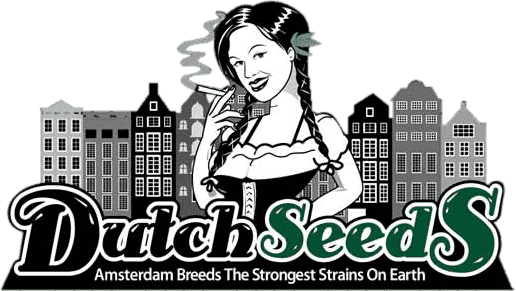 Dutch Seeds